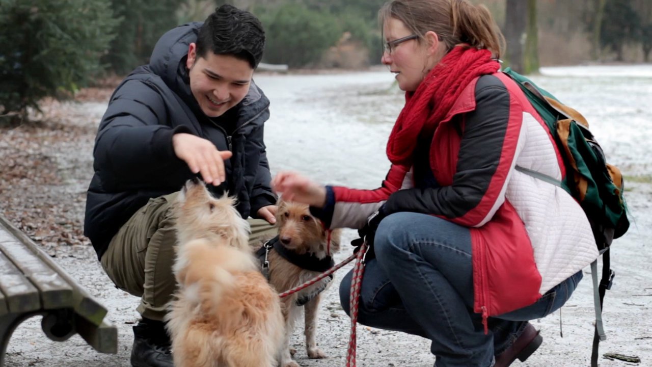 There is a boy and a woman sitting next to two dogs. The boy strokes the dog.